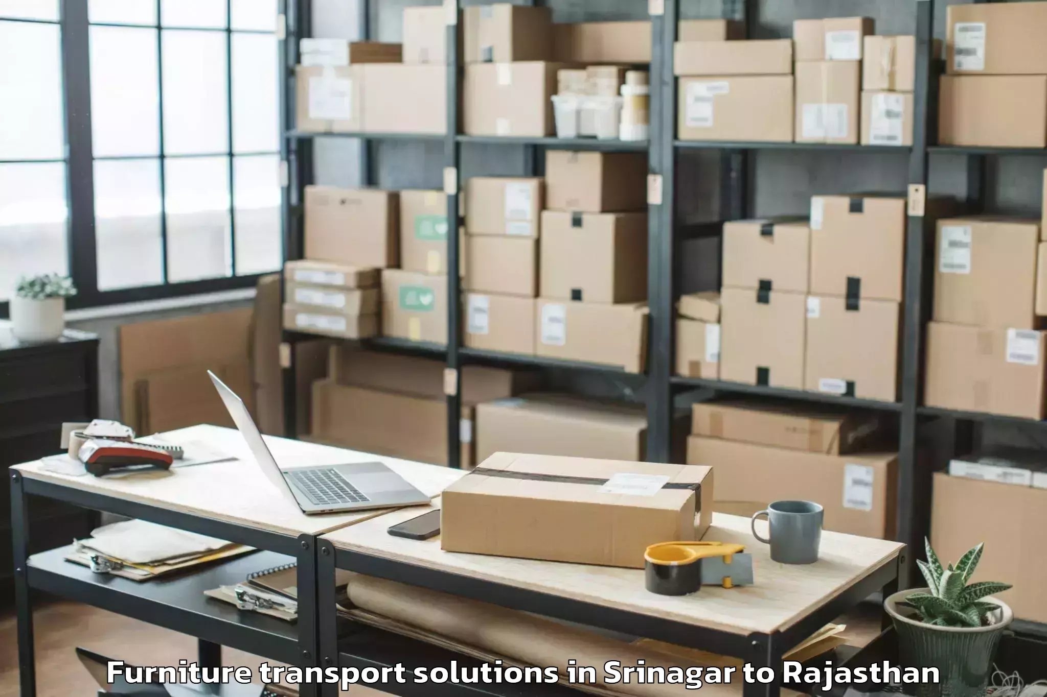 Trusted Srinagar to Bhindar Furniture Transport Solutions